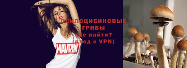 шишки Баксан