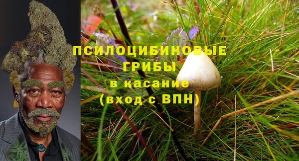 мескалин Балахна