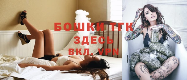 шишки Баксан