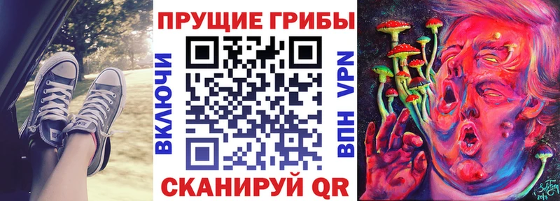 Купить  Семикаракорск  Галлюциногенные грибы ЛСД 
